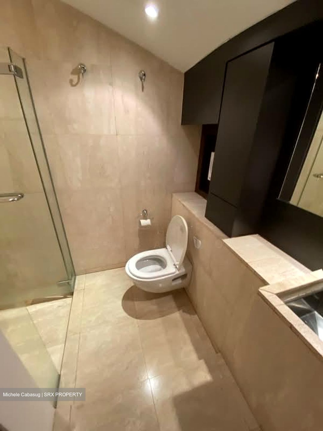 Kim Yam Road (D9), Detached #540160131